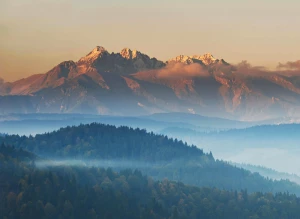 Portal medyczny? Czy warto?