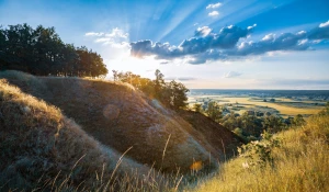 Czy kupić oprogramowanie jest łatwo?